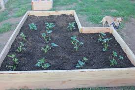 L Shaped Raised Garden Bed