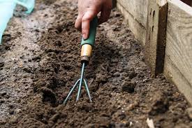 what is loam soil