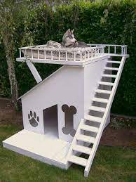 Dog House With A Loft Cool Dog Houses