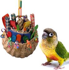 super bird creations foraging basket