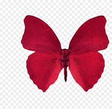 Find & download free graphic resources for butterfly background. Red Aesthetic Background Posted By Zoey Cunningham