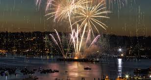 Image result for 4th of july fireworks in the park