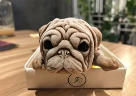 Any of our carvel retail stores will be happy to substitute something. The Ice Cream Puppy In 2020 The Craze Is Still Going Strong