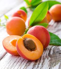 17 impressive benefits of apricot the