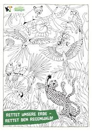 Alle arbeitsblätter werden als pdf angeboten und können frei heruntergeladen und. Regenwald Bastel Malvorlagen Abenteuer Regenwald