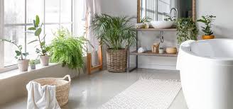 Bathroom Redesign How To Choose The