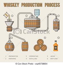 Whiskey Production Process Distillation And Aging Whisky Infographics