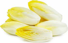 belgian endive information and facts