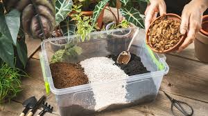 Substrates For Container Gardening