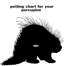 Petting Chart Funny