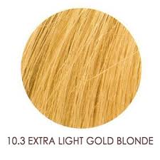Loreal Professional Hair Color Chart Umberto Beverly Hills