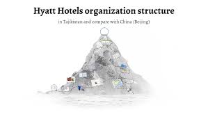 Hyatt Hotels Organization Structure By Prezi User On Prezi