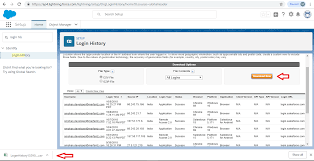 how to login history in sforce