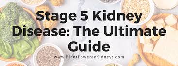 se 5 kidney disease the ultimate guide