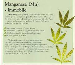 How To Fix Cannabis Manganese Deficiency Mn Pics Symptoms