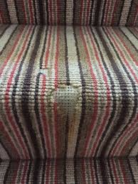 carpet repair course texatherm system