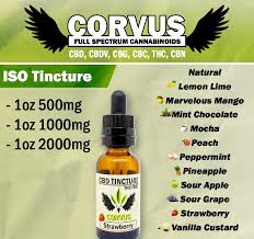 isolate cbd oil tincture corvus cbd