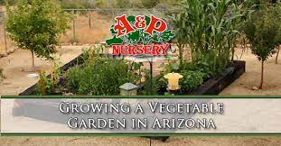 Growing A Vegetable Garden In Arizona