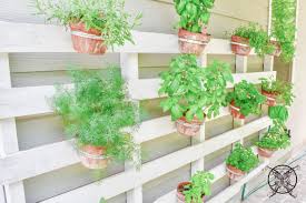 vertical pallet herb garden jenron