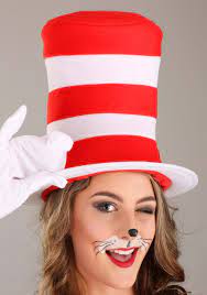 cat in the hat costume w faux