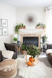 decorate your living room with plants
