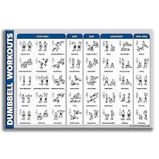 bodybuilding gym poster laminated sport