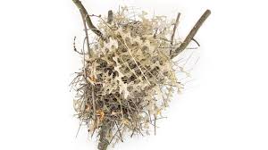 birds build nests from anti bird spikes