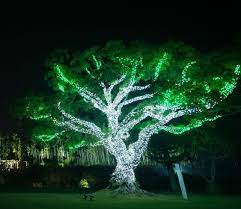 Simple Modern Lighting Tree Decor Ideas
