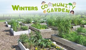 Winters Community Garden Your Town