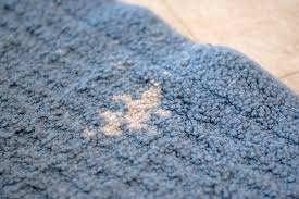 carpet spot dyeing heaven s best