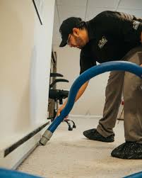 carpet cleaner rochester ny