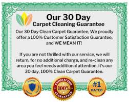 carpet cleaning in castle rock the 1