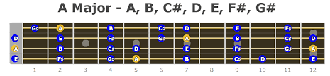 Blank bass tablature and neck diagrams in pdf format. Bass Guitar Major Scales Notes Fretboard Diagrams Bass Player Center