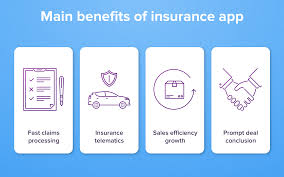 Life insurance is a categorized under specific insurance type where only life related matters can be secured conclusion. Insurance App Development Use Its Advantages To The Fullest