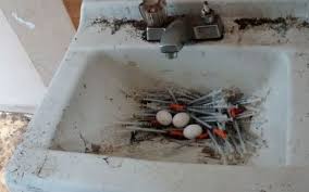 Citys Drug Problem Sees Birds Making Nests Out Of Needles