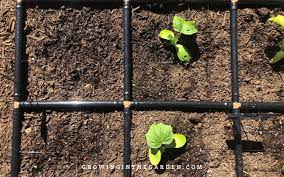 Best Way To Water Raised Bed Gardens