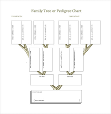 Actual How To Write A Pedigree Chart Small Family Tree Chart