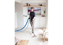 zerorez carpet cleaning ta in ta