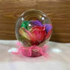 Water Globe Rose Globe Colored Rose