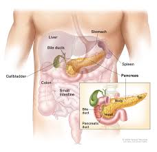 Testing for pancreatic cancer in people at high risk. Pancreatic Cancer Symptoms And Causes