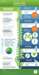 the spinal cord injury levels infographic