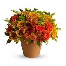 Autumn Garden Gifts For Sister