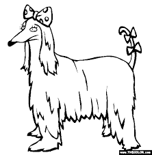 Fun video with coloring of dachshund dog! Dogs Online Coloring Pages