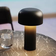 Cordless And Battery Operated Lamps At