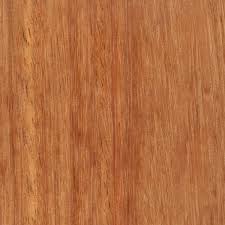 kempas the wood database hardwood