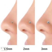 Hand Picked Barbell Piercing Size Chart Standard Gauge Nose
