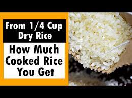 4 cup dry rice