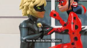 chat noir of love miraculous amino