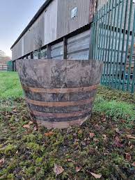 Extra Large Oak Half Barrel Shrub