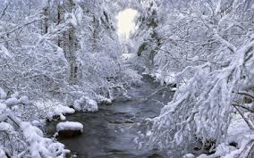 Image result for images of beautiful wintry nature scenes